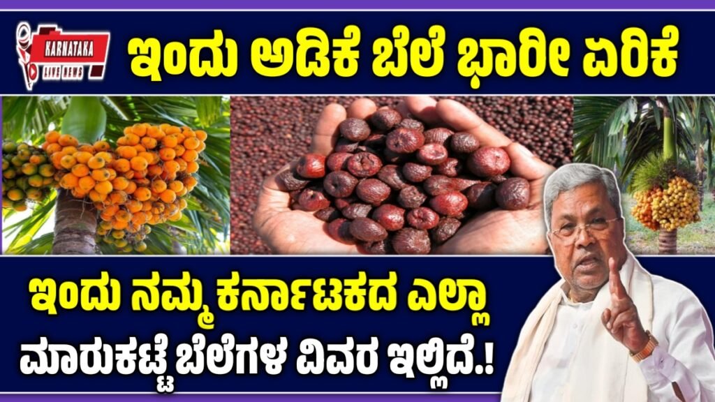 ಅಡಿಕೆ ಕಾಯಿ 13 ಜನವರಿ 2026