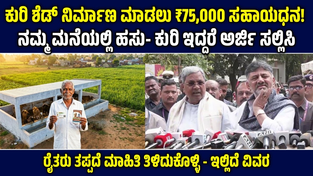 Sheep Shed Subsidy Loan